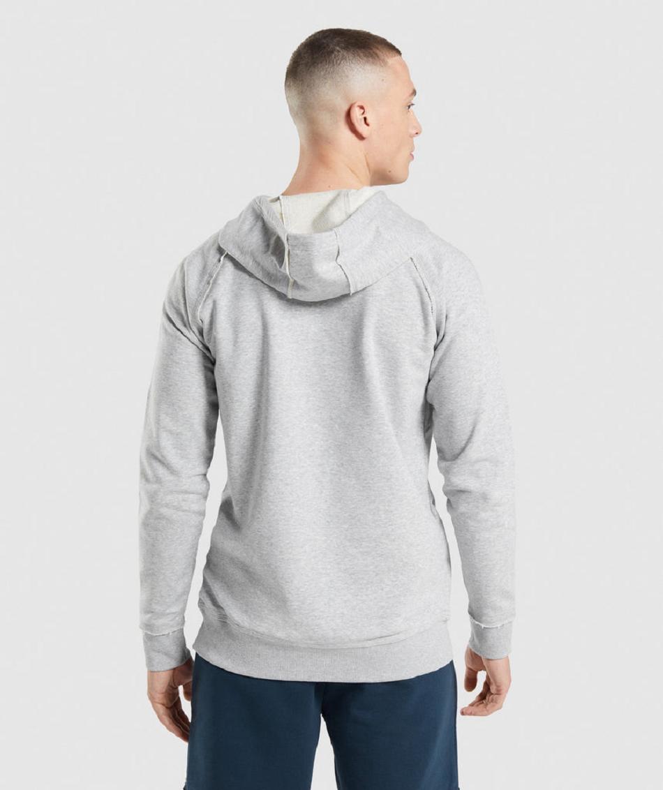 Bluzy Z Kapturem Męskie Gymshark Legacy Głęboka Szare | PL 3589GSO